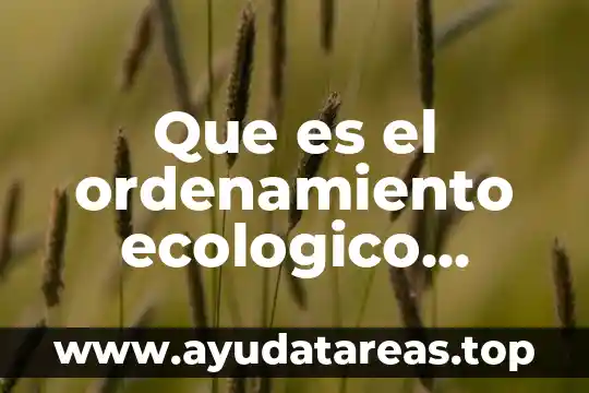 Que es el ordenamiento ecologico territorial mexico