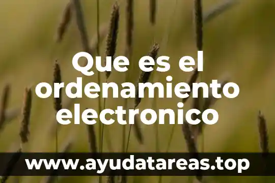 Que es el ordenamiento electronico