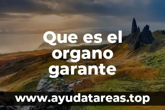 Qué es un órgano constituyente 4 Que es el organo garante