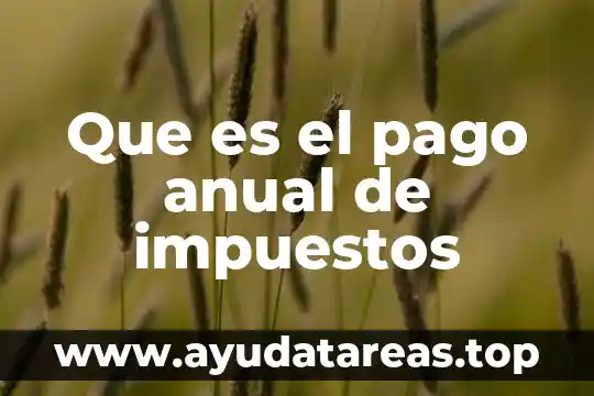 Que es el pago anual de impuestos