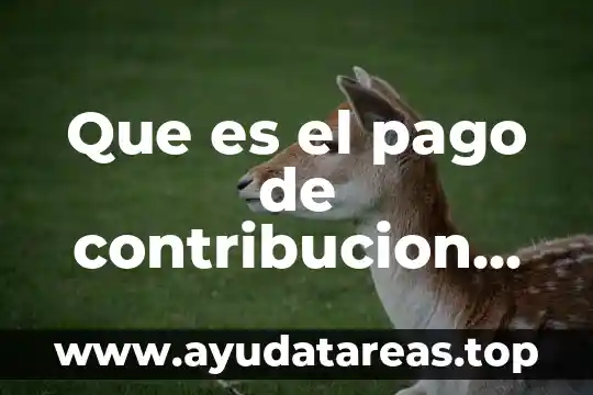 Que es un cohete casero de agua 5 Que es el pago de contribucion aduana