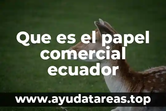 Que es el papel comercial ecuador