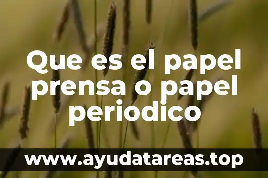 Que es el papel prensa o papel periodico