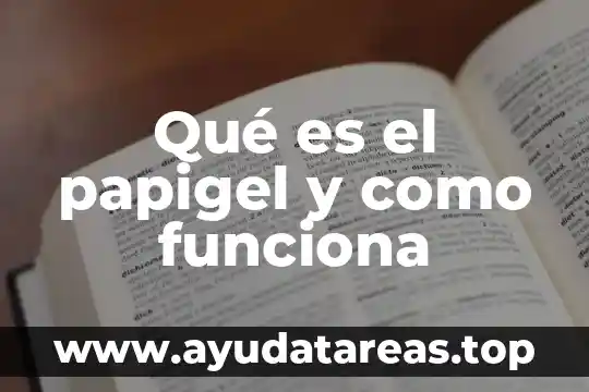 Que es el animal martucha 3 Qué es el papigel y como funciona