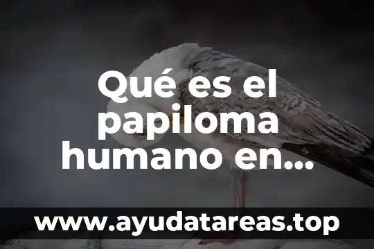 Qué es el papiloma humano brainly 8 Qué es el papiloma humano en letra