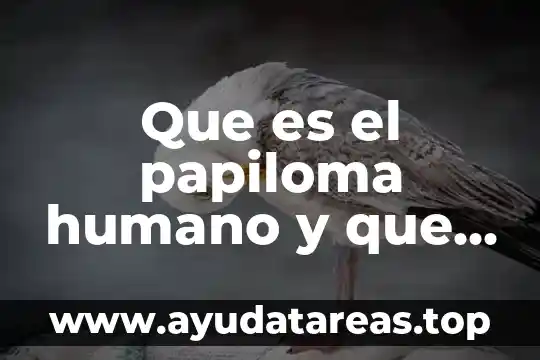 Qué es el papiloma humano brainly 3 Que es el papiloma humano y que consecuencias tiene