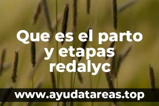 Que es parto multiple 8 Que es el parto y etapas redalyc