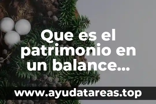 Que es un principio filosófico general 5 Que es el patrimonio en un balance general