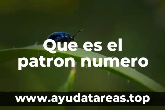 Que es el patron numero
