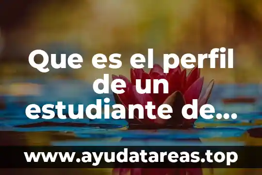 Que es el perfil de un estudiante de preparatoria