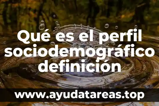 Qué es el perfil sociodemográfico definición