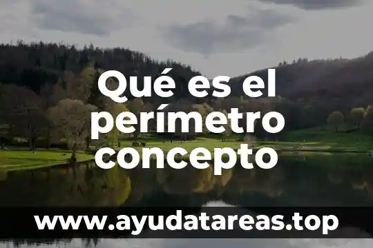 Qué es el área perímetro y volumen de una figura 6 Qué es el perímetro concepto