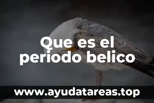 Que es el periodo de concepción en bovinos 6 Que es el periodo belico
