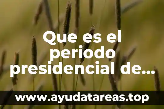 Que es el periodo presidencial de alvaro obregon