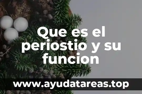 Que es el periostio y su funcion
