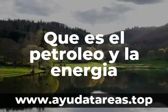 Que es el petroleo y la energia