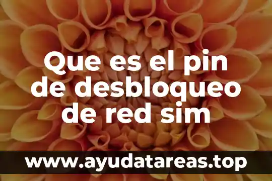 Qué es la prueba pin hole 3 Que es el pin de desbloqueo de red sim