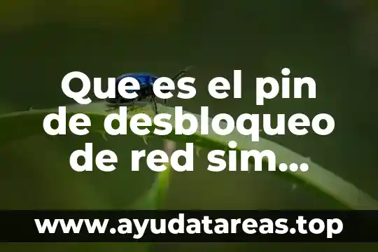 Qué es la prueba pin hole 6 Que es el pin de desbloqueo de red sim telcel
