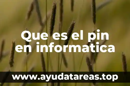 Qué es la prueba pin hole 7 Que es el pin en informatica