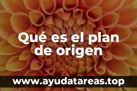 Qué es el plan de origen