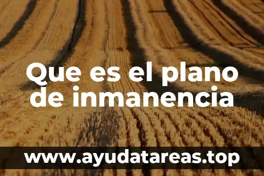 Que es el plano de inmanencia