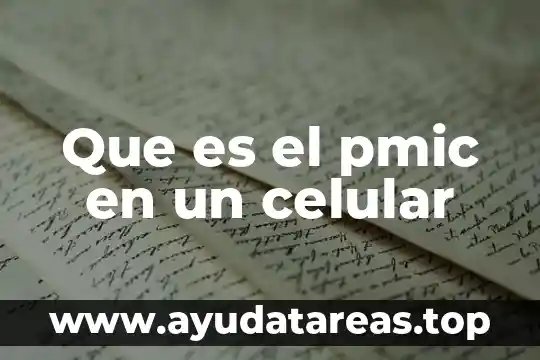 Celular que es una pulsera 7 Que es el pmic en un celular