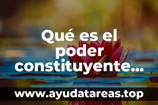 Qué es el poder constituyente según Smith