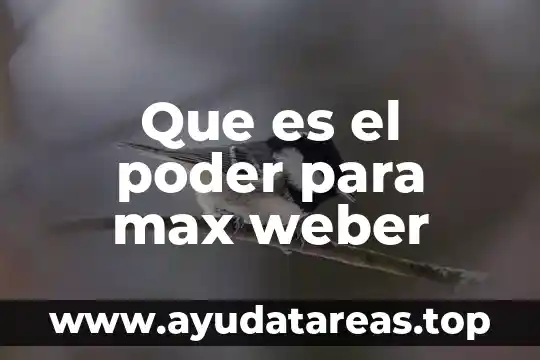 Qué es el estado según Max Weber 5 Que es el poder para max weber