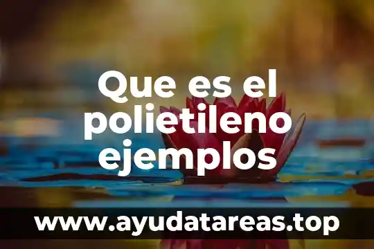 Que es el polietileno ejemplos