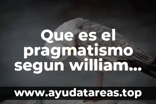 Que es el pragmatismo segun william james