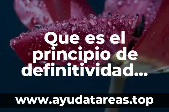 Que es el principio de definitividad procesal