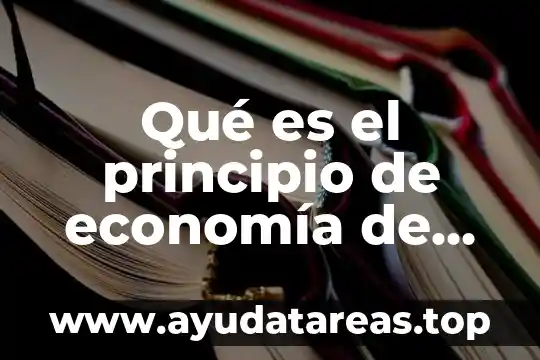 Que es la economia informatica juridica 4 Qué es el principio de economía de movimientos