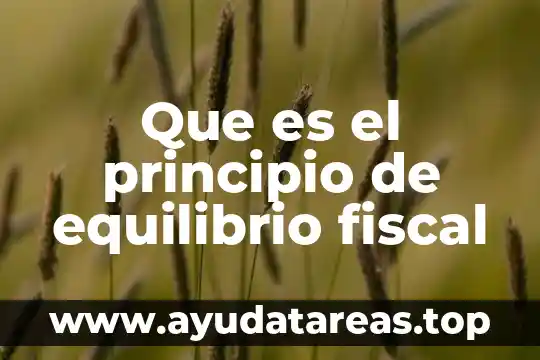 Que es el principio de equilibrio fiscal