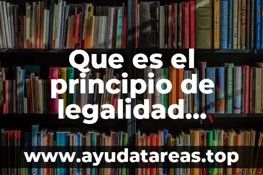 Que es una articulacion en forma de silla de montar 5 Que es el principio de legalidad administrativa