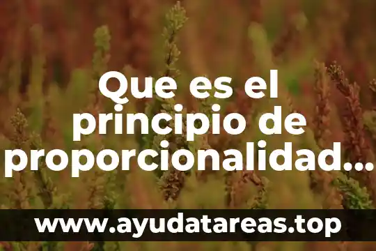 Qué es anglosajón definición 5 Que es el principio de proporcionalidad definicion