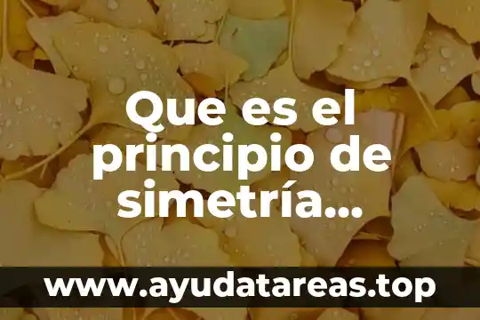 Que es el principio de simetría economia