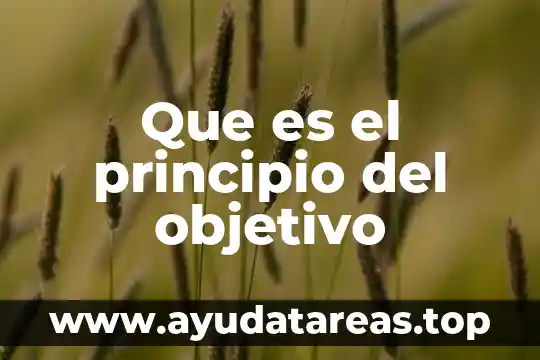 Que es segmentar de acuerdo a tu objetivo 8 Que es el principio del objetivo