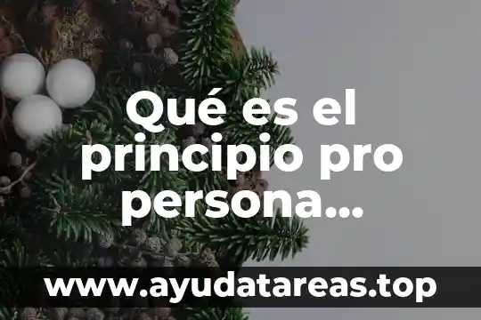 Una persona que es calva en sentido figurado 5 Qué es el principio pro persona principio por persona