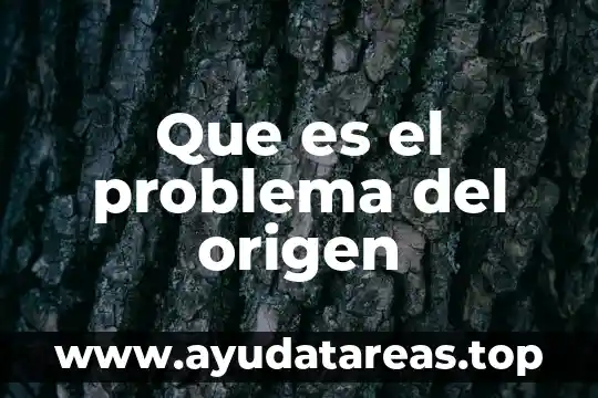 Que es el problema del origen