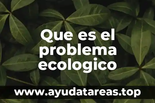 Que es el problema ecologico