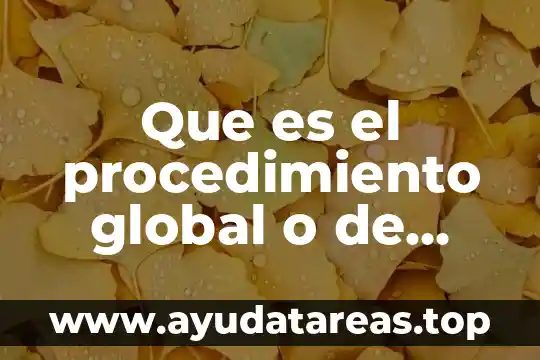 Que es el procedimiento global o de mercancias generales