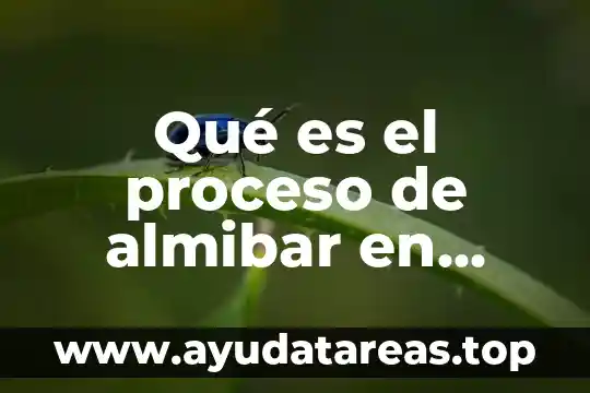 Qué es el proceso de almibar en frutas