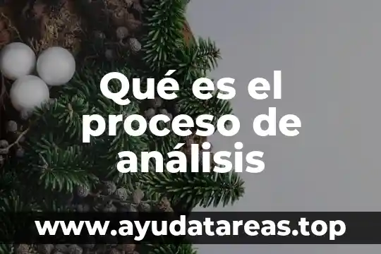Qué es el capital en un análisis financiero 5 Qué es el proceso de análisis