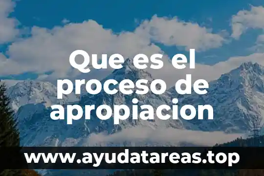Proceso para que es un alebrije 5 Que es el proceso de apropiacion