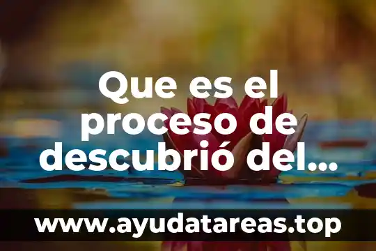 Que es el proceso de descubrió del ser humano