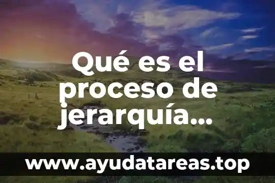Qué es la jerarquía de matemáticas significado 7 Qué es el proceso de jerarquía analítica