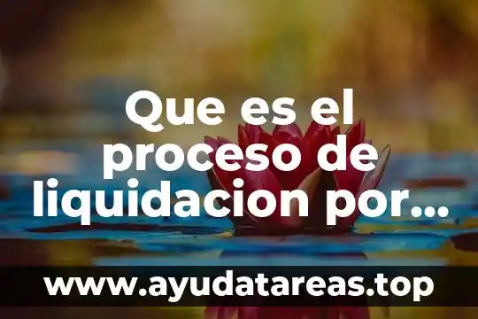 Que es el proceso de liquidacion por determinacion mixta
