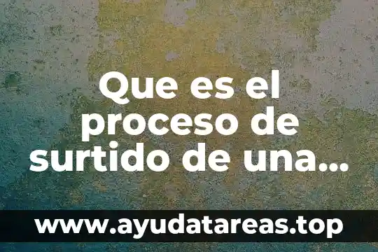 Que es el proceso de surtido de una orden