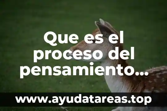 Que es el proceso del pensamiento logico