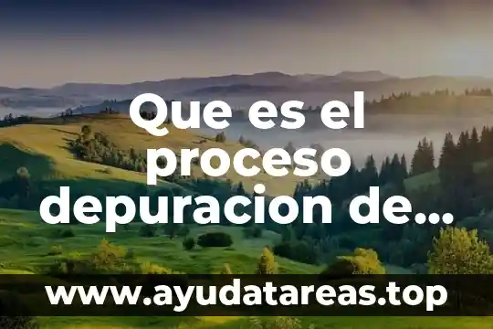Que es teoria de las ideas 3 Que es el proceso depuracion de ideas